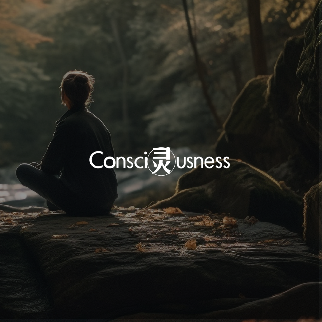 4. CONSCI灵USNESS