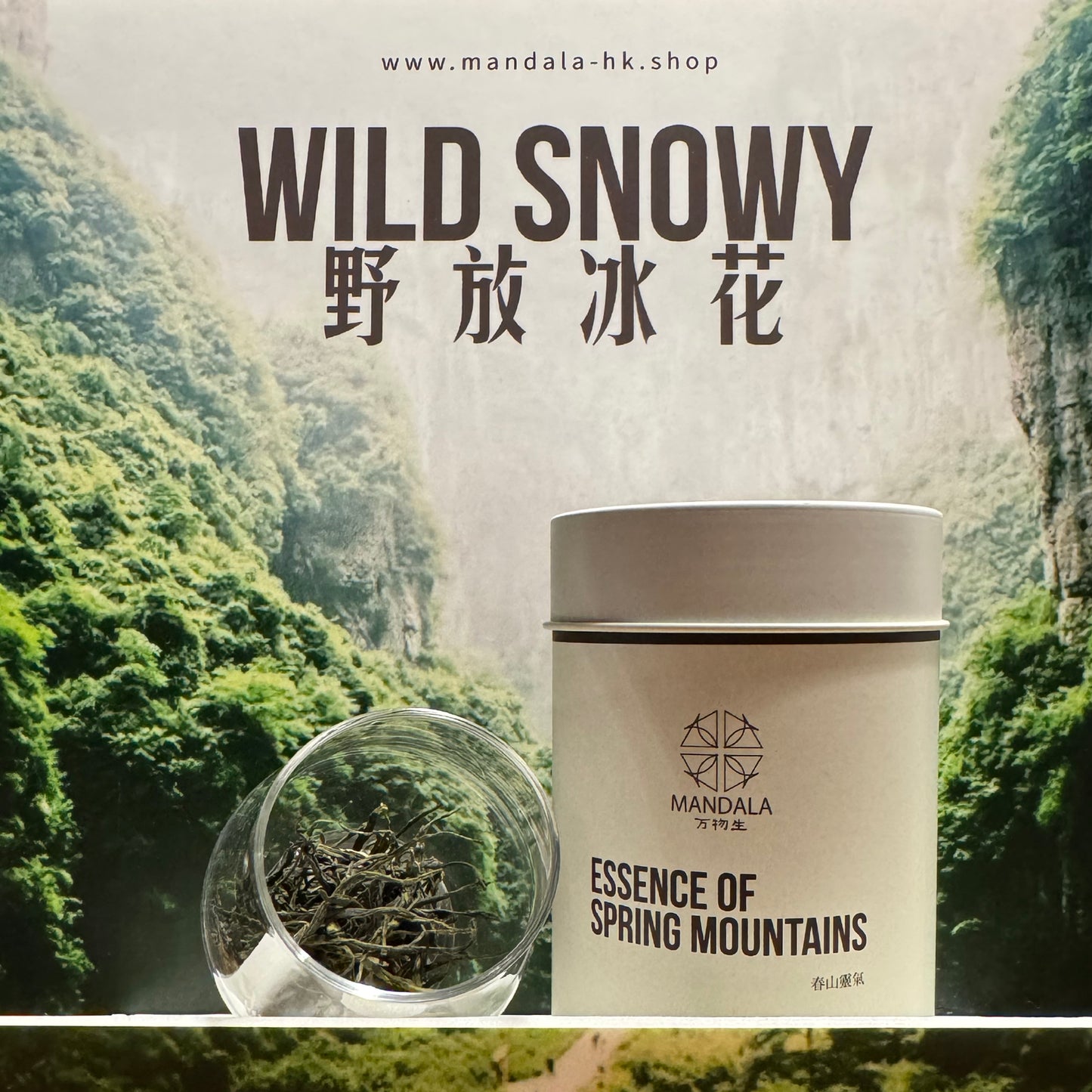 Essence of Spring Mountains「春山靈氣」[Chongqing, China] [ORGANIC]